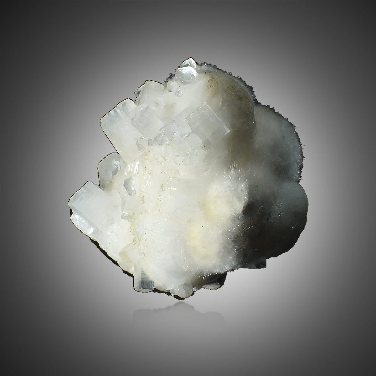 Okenite with Gyrolite & Apophyllite photo 5