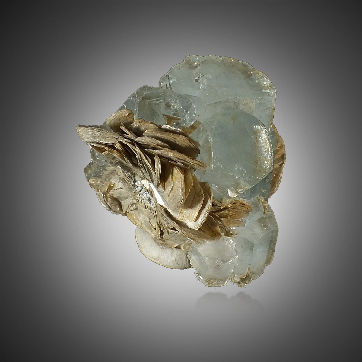 Beryl with Muscovite photo 2