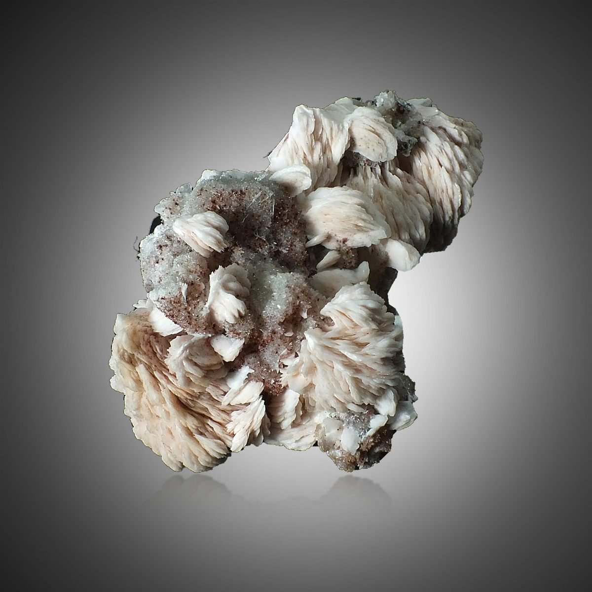 Baryte with Quartz photo 3