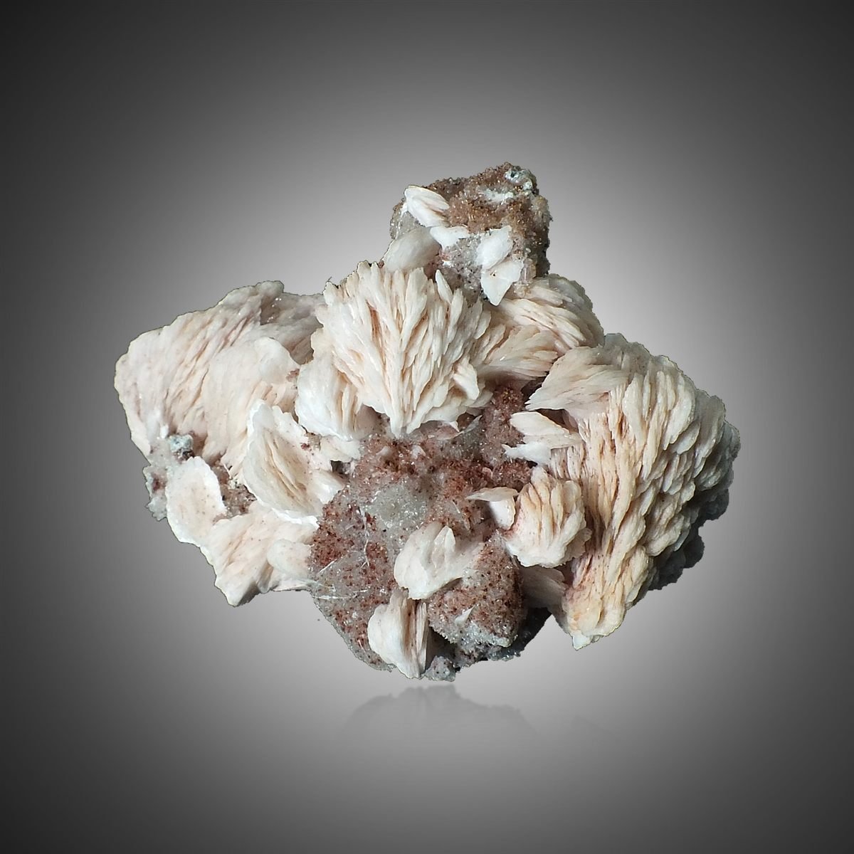 Baryte with Quartz photo 5