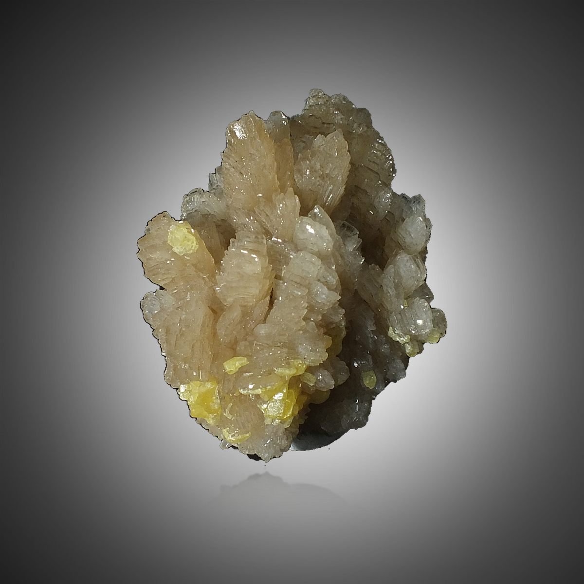 Baryte with Sulphur photo 3