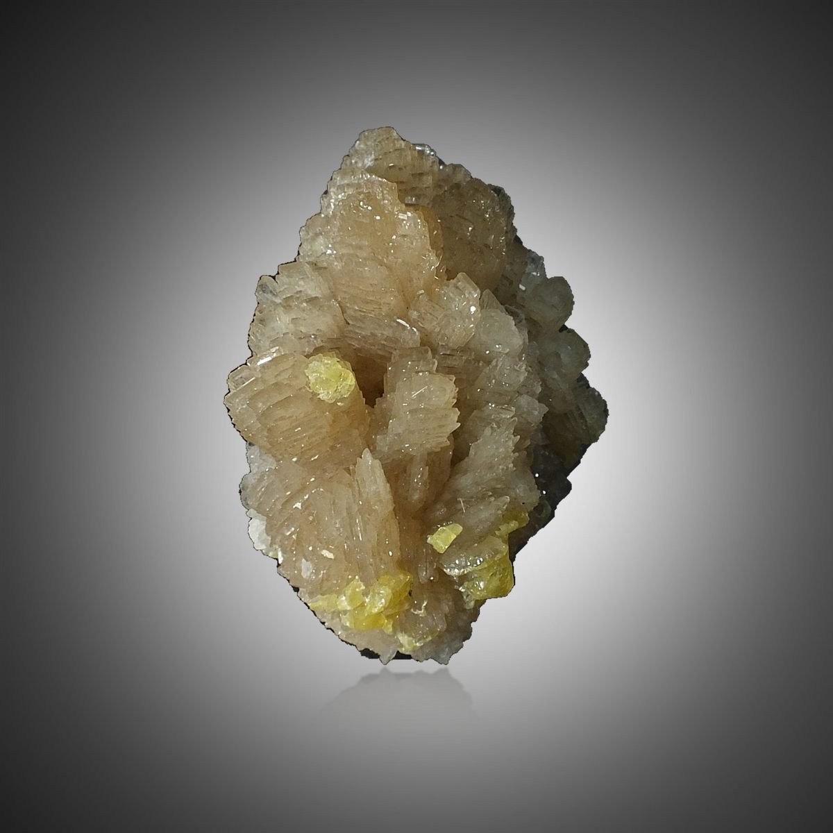 Baryte with Sulphur photo 4