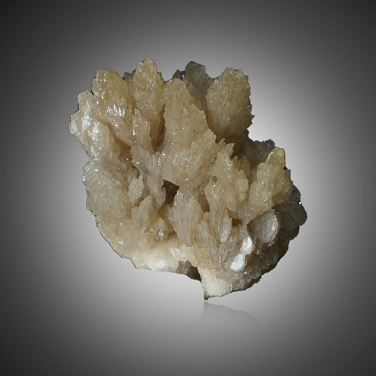 Baryte with Sulphur photo 5