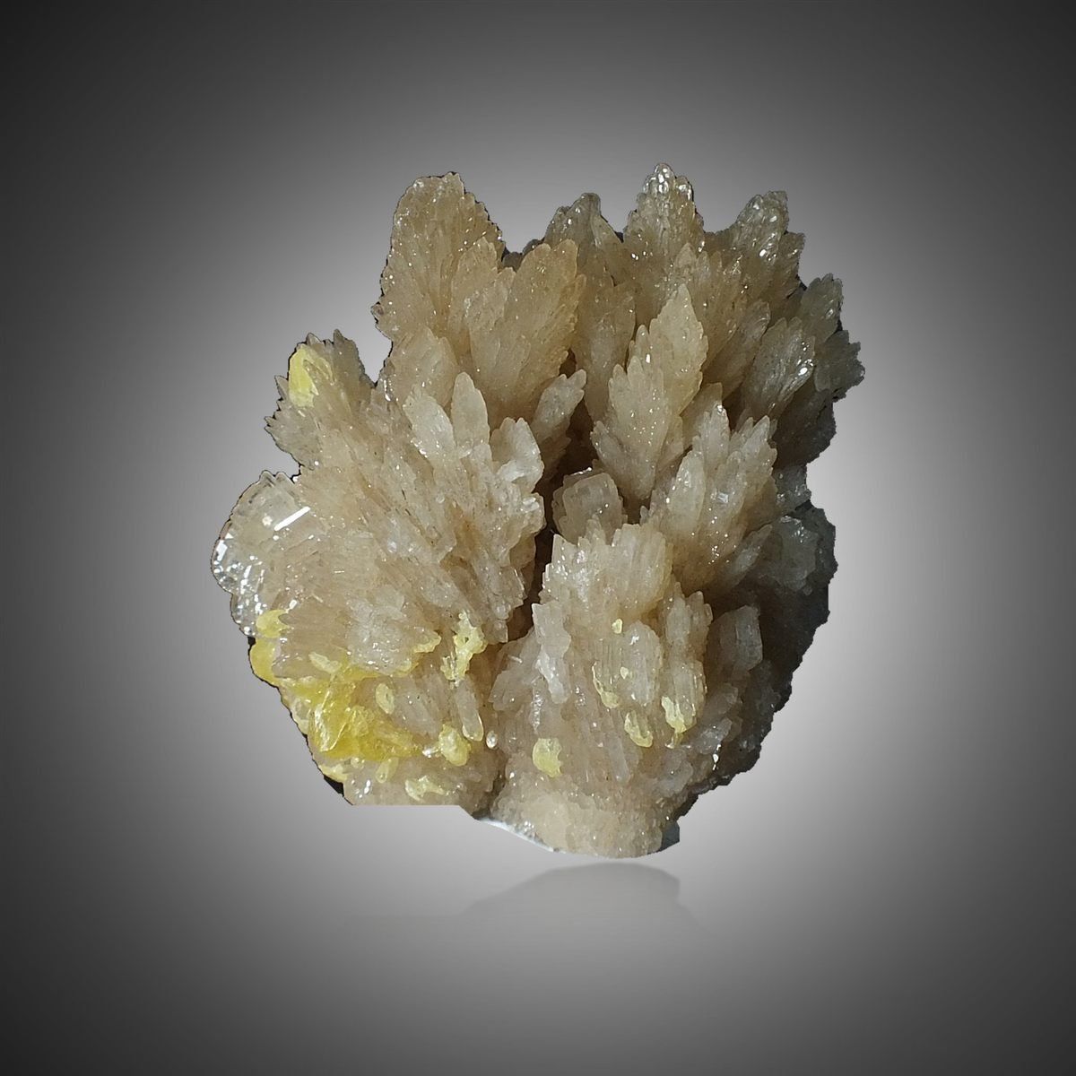 Baryte with Sulphur photo 7