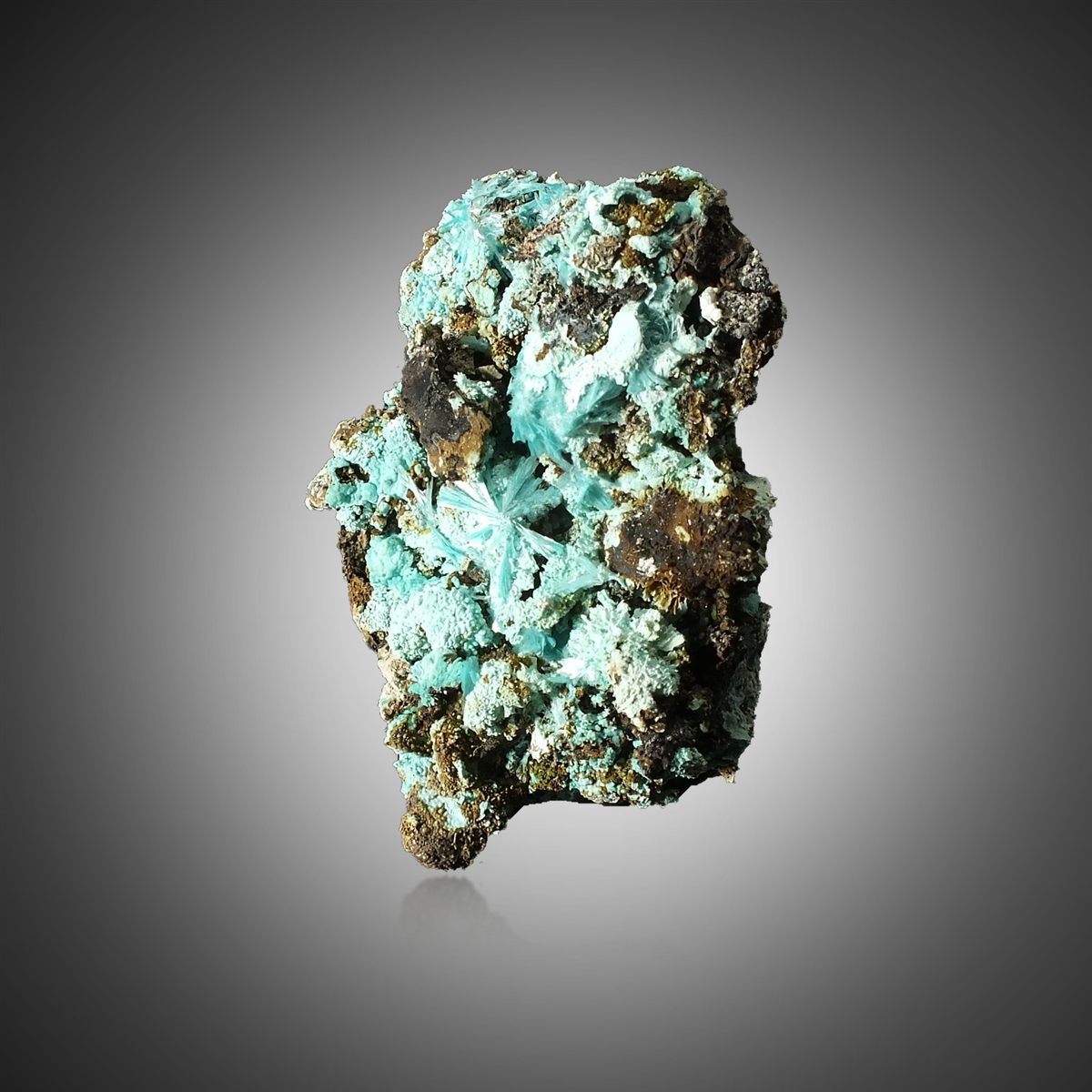 Aurichalcite with Chrysocolla