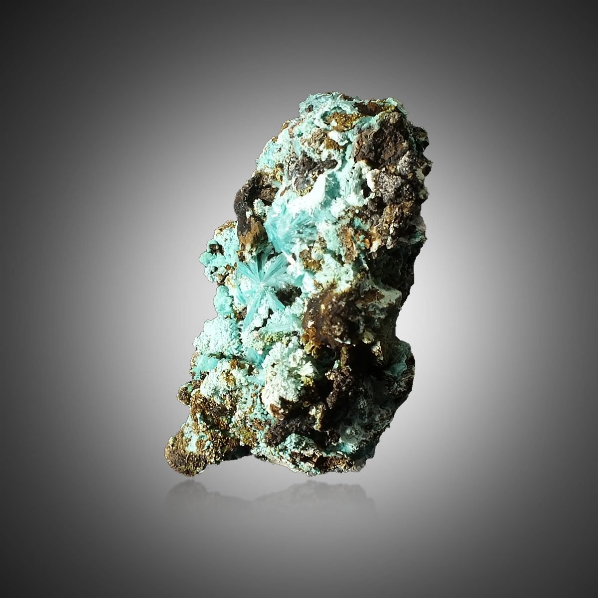 Aurichalcite with Chrysocolla photo 4