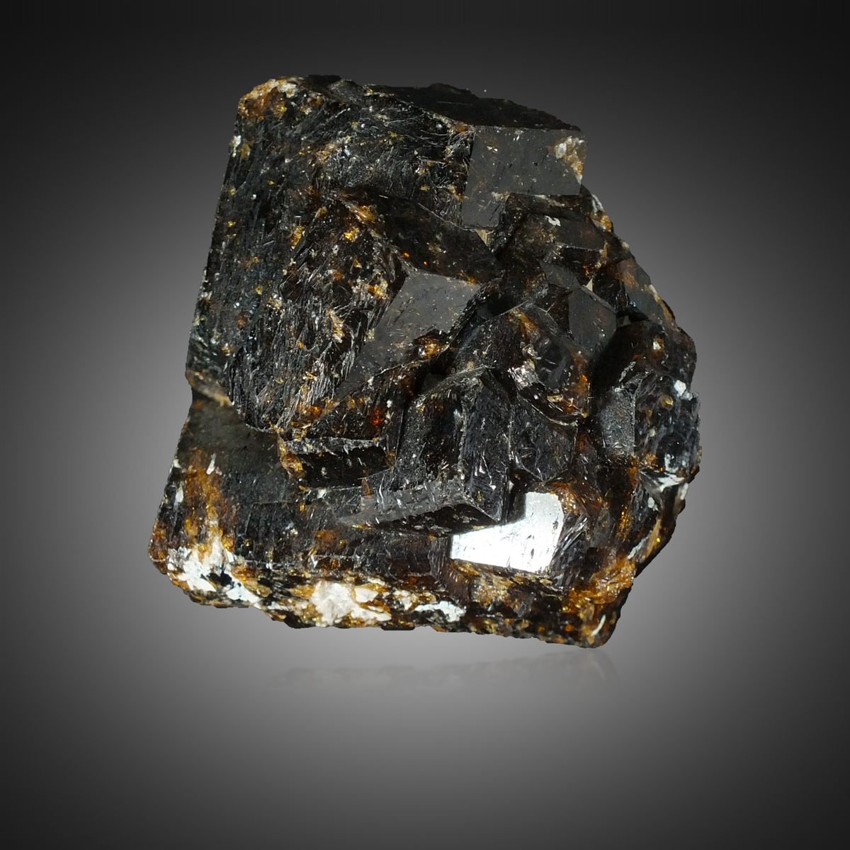 Dravite