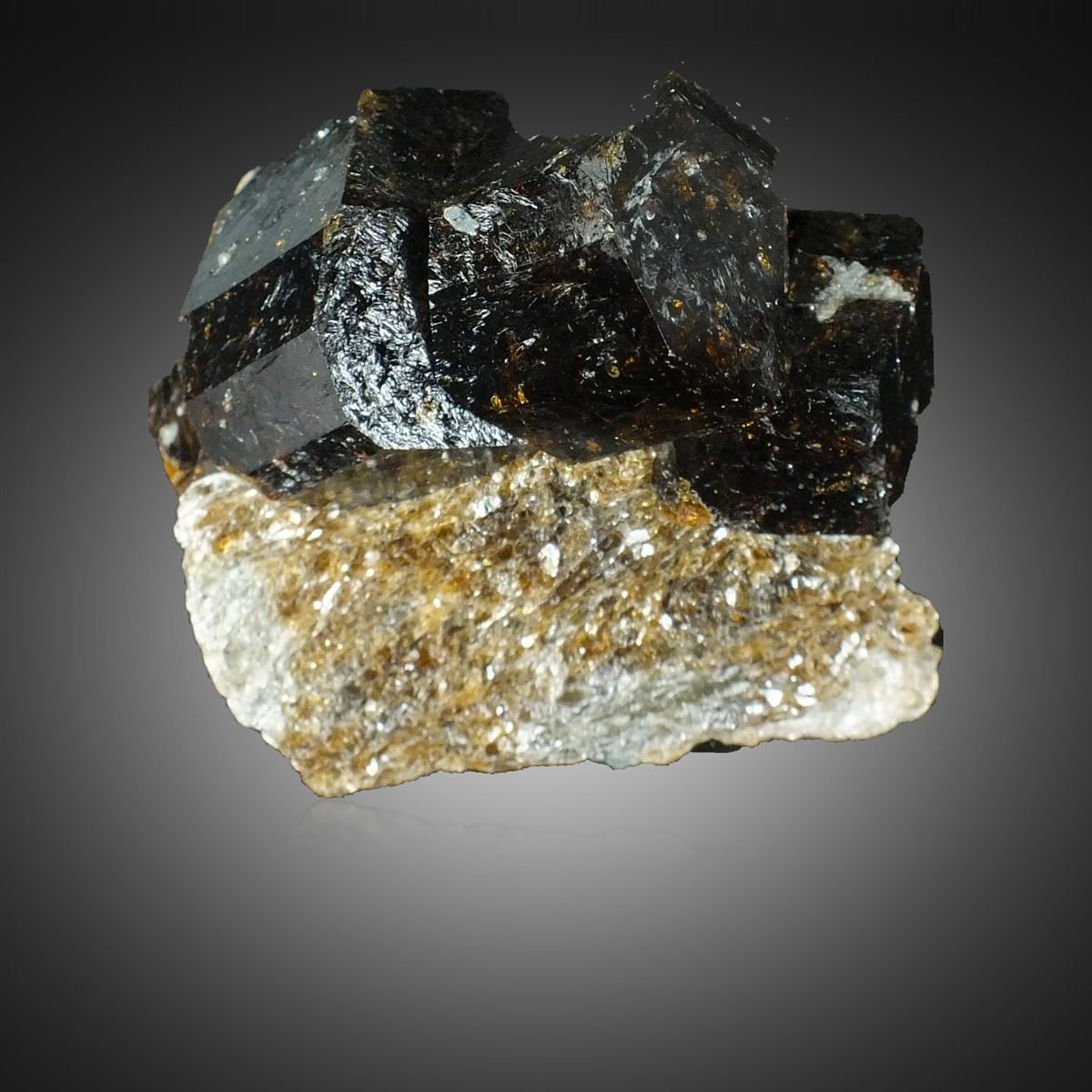Dravite