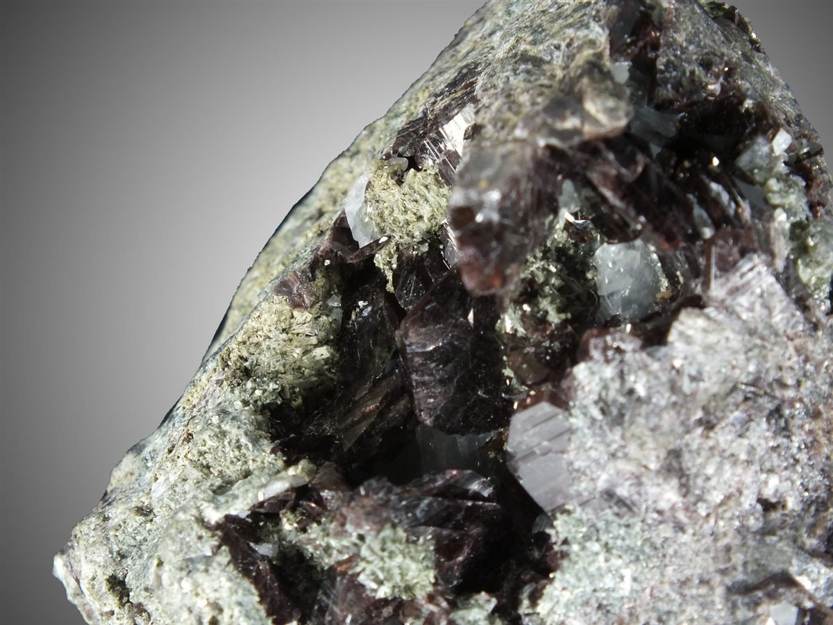Axinite-(Fe) with Actinolite
