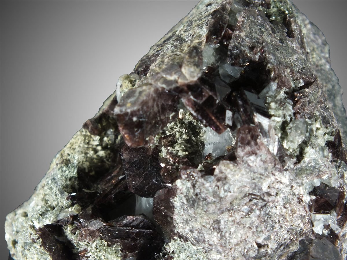 Axinite-(Fe) with Actinolite photo 2