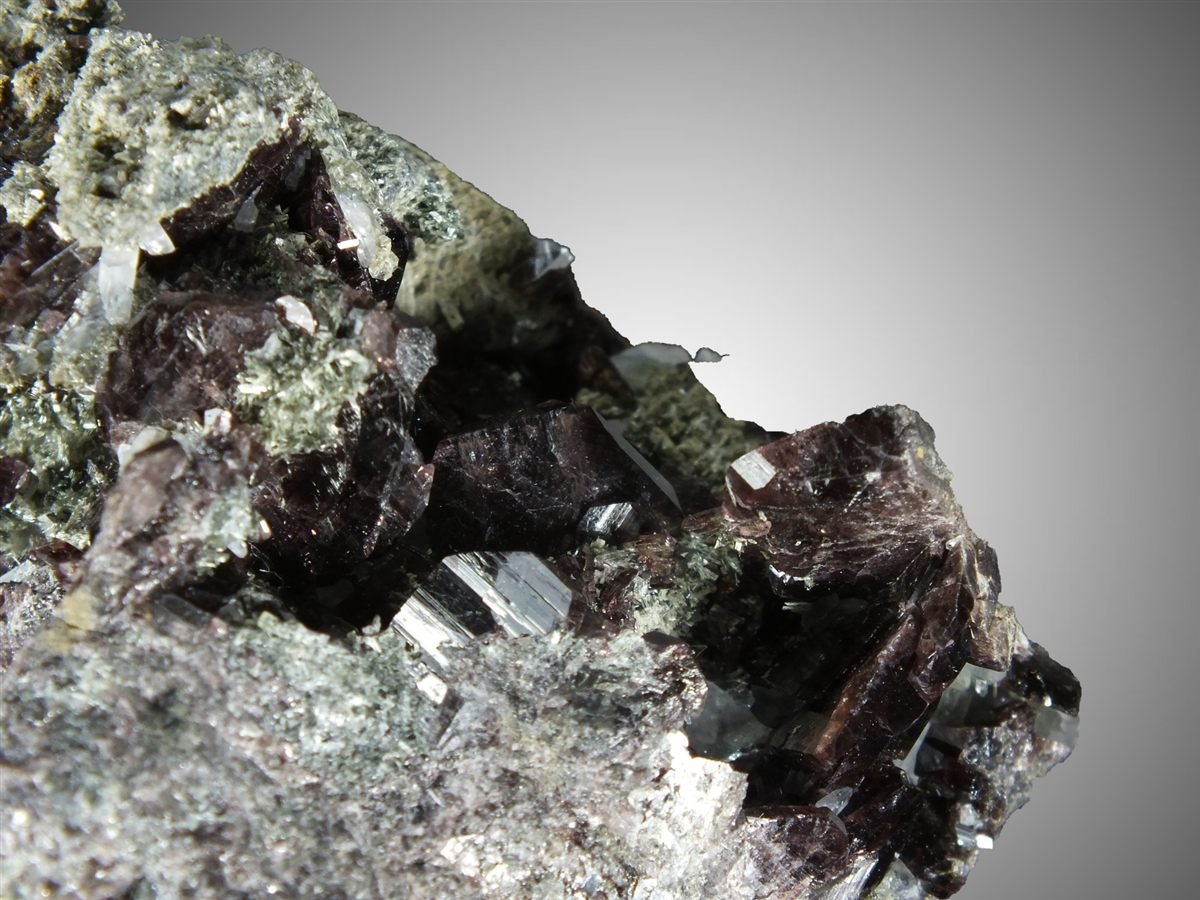 Axinite-(Fe) with Actinolite photo 3