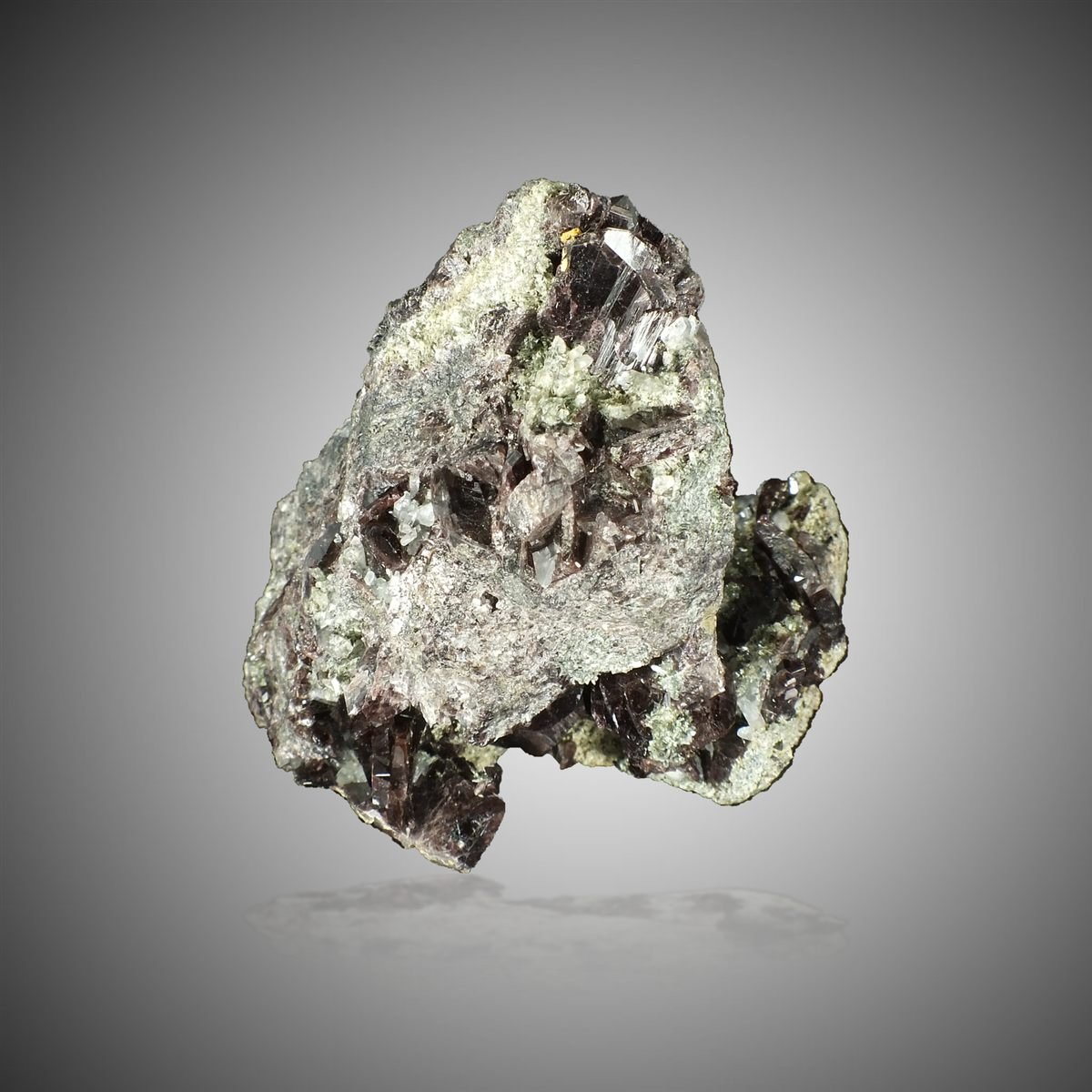 Axinite-(Fe) with Actinolite photo 5