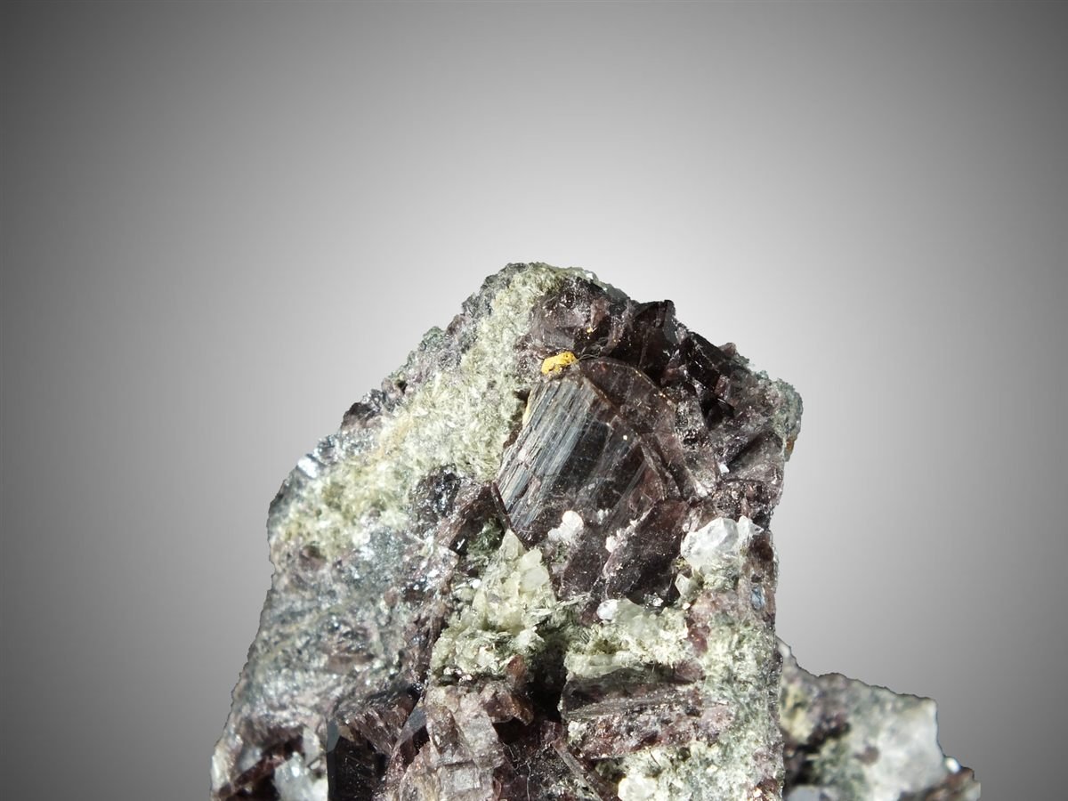 Axinite-(Fe) with Actinolite photo 6