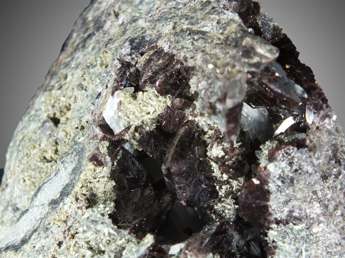 Axinite-(Fe) with Actinolite photo 7