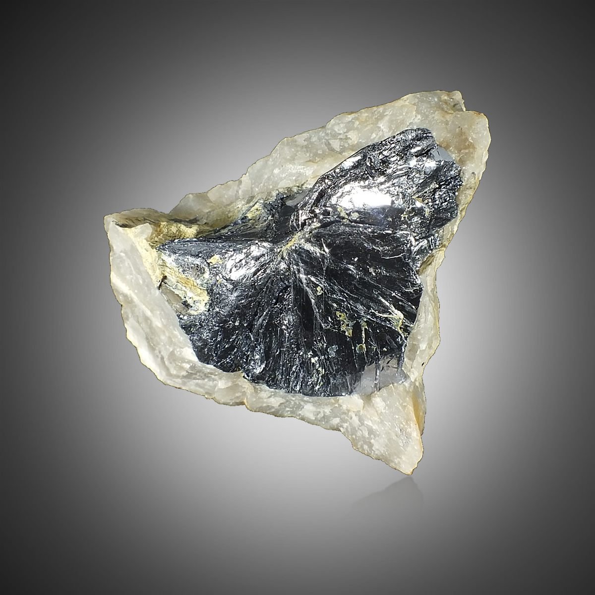 Molybdenite with Quartz