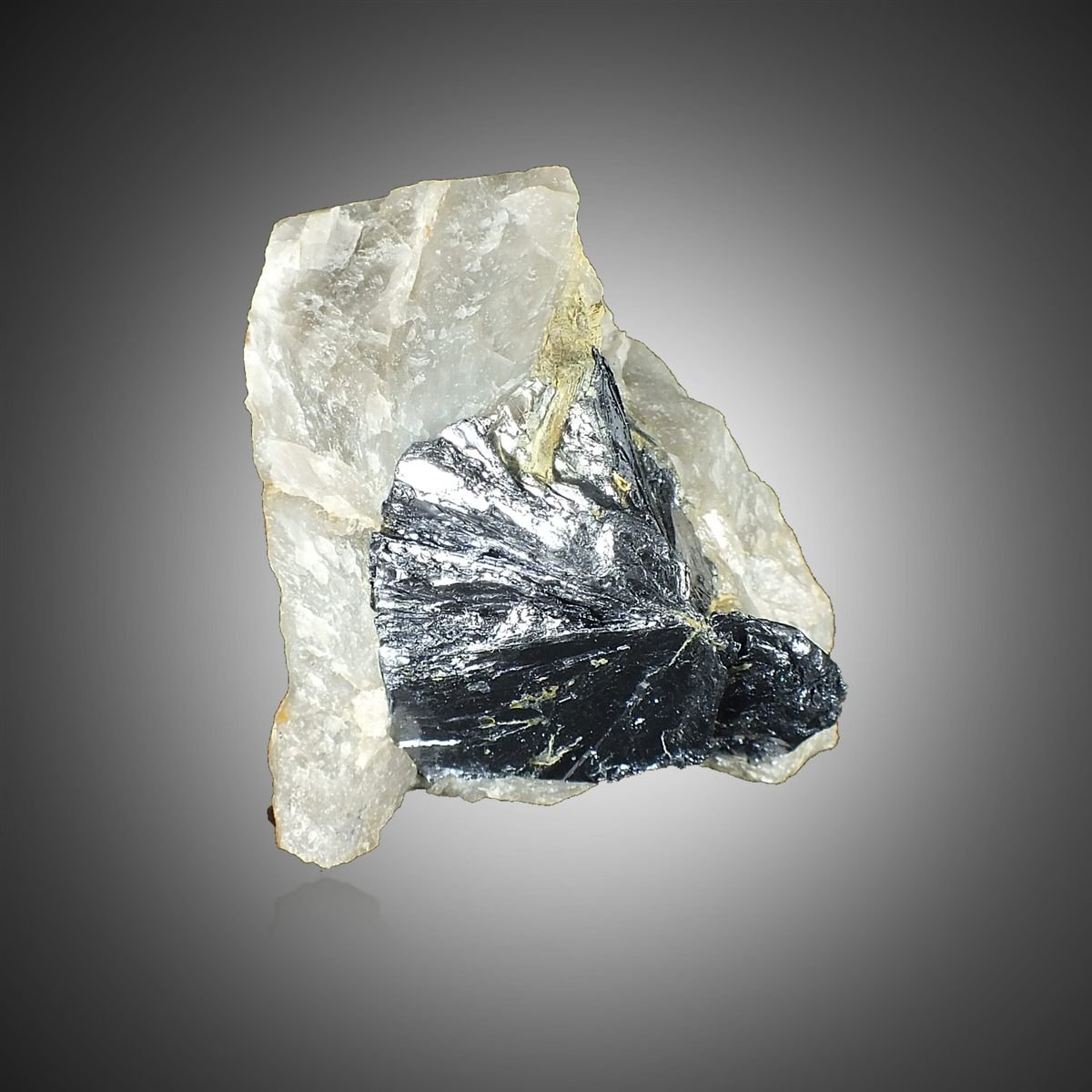 Molybdenite with Quartz photo 2