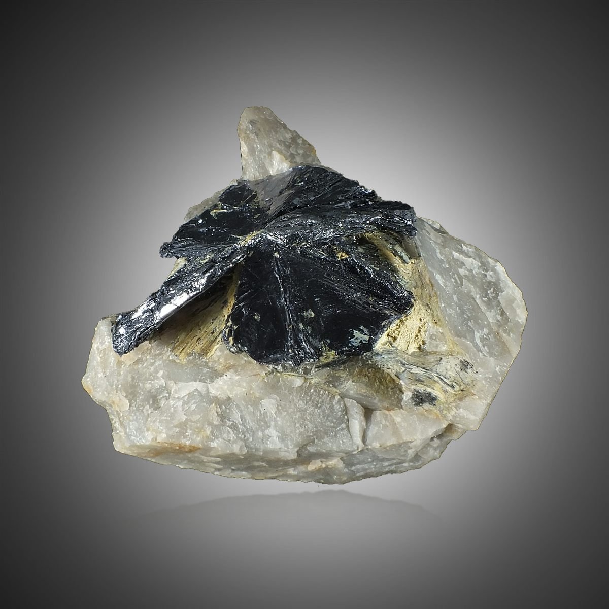 Molybdenite with Quartz photo 5
