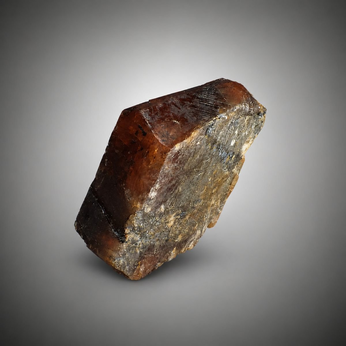 Bustamite photo 8