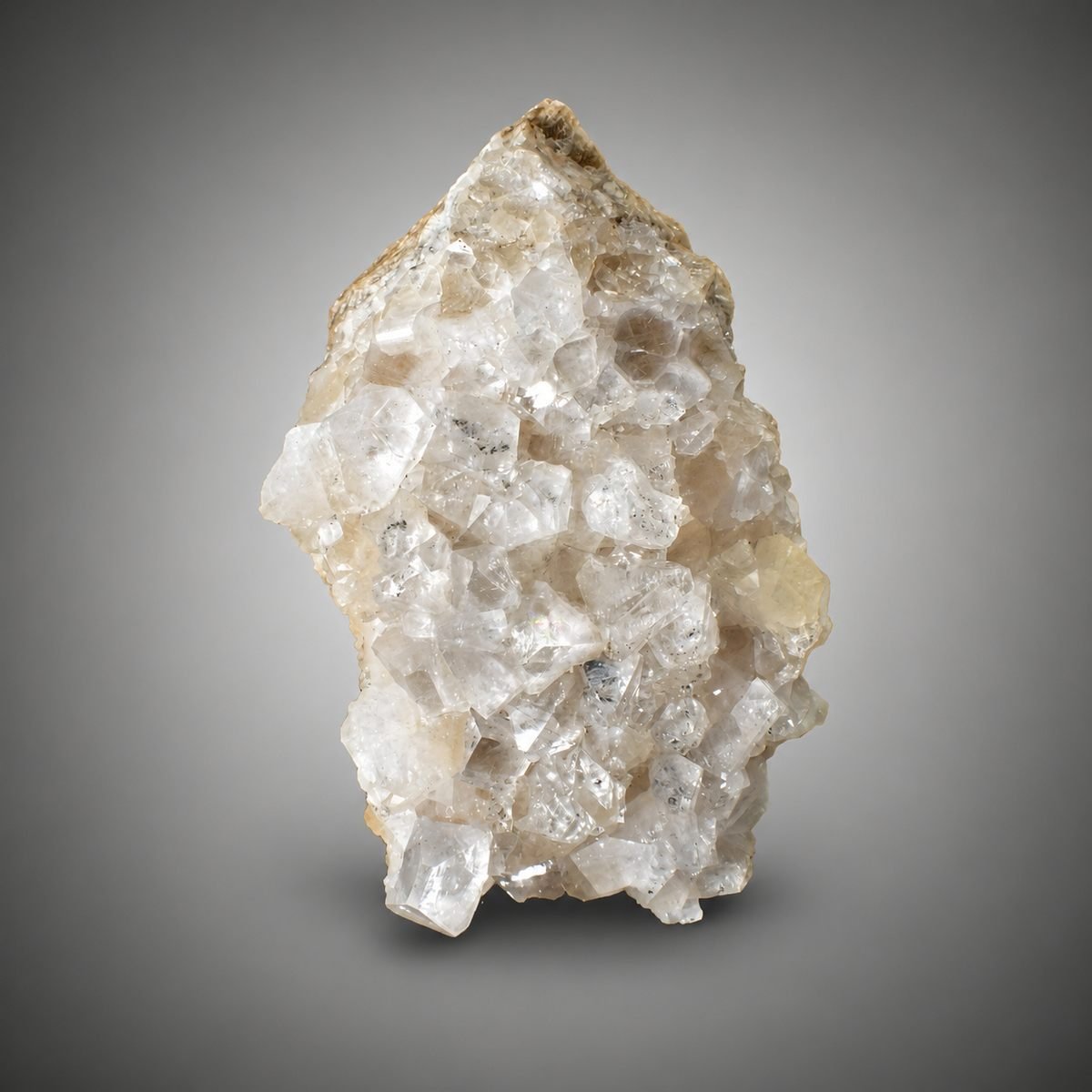 Fluorapophyllite with Galena photo 2