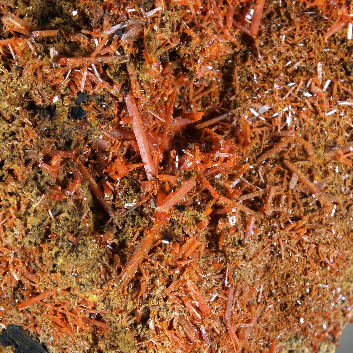Crocoite photo 4