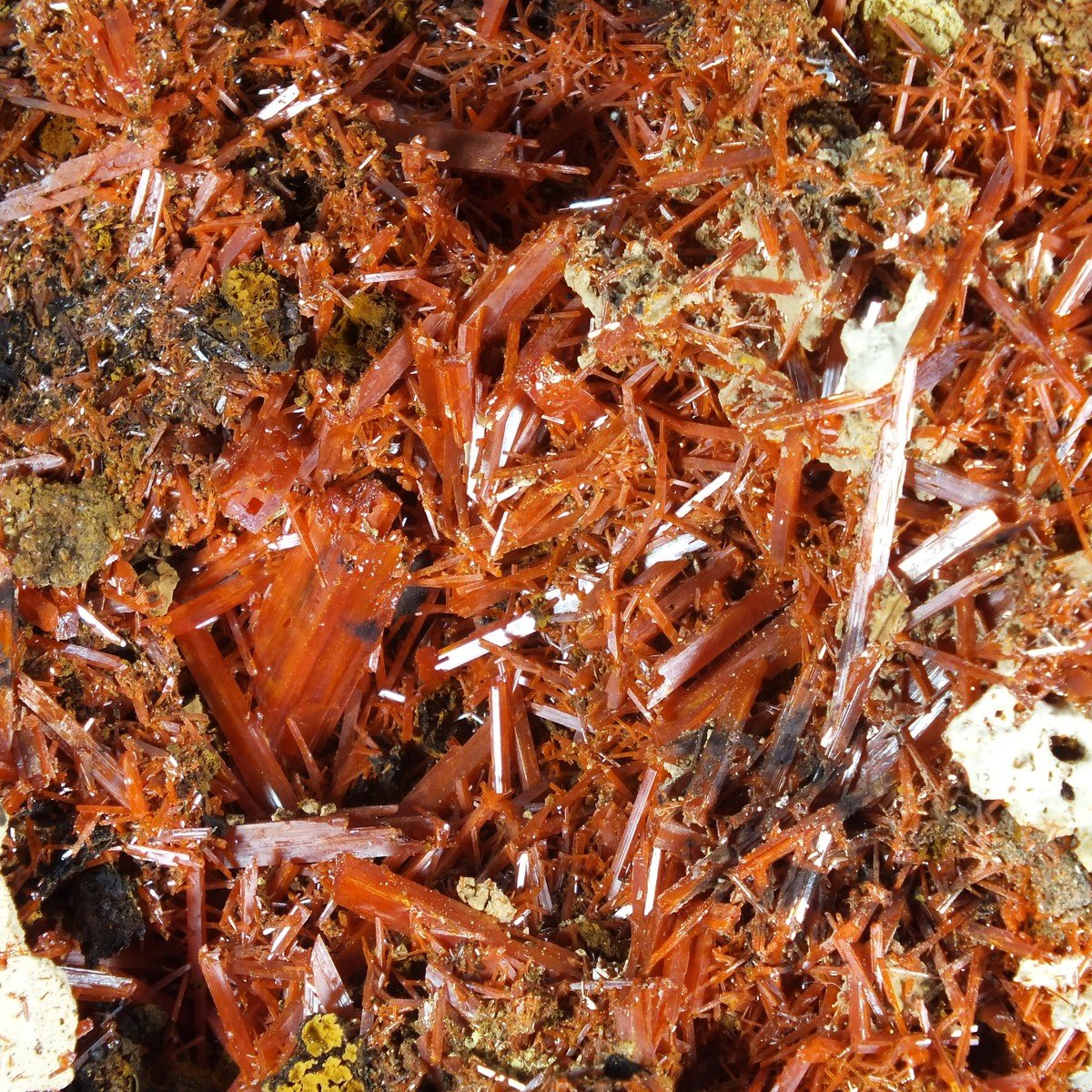 Crocoite photo 5