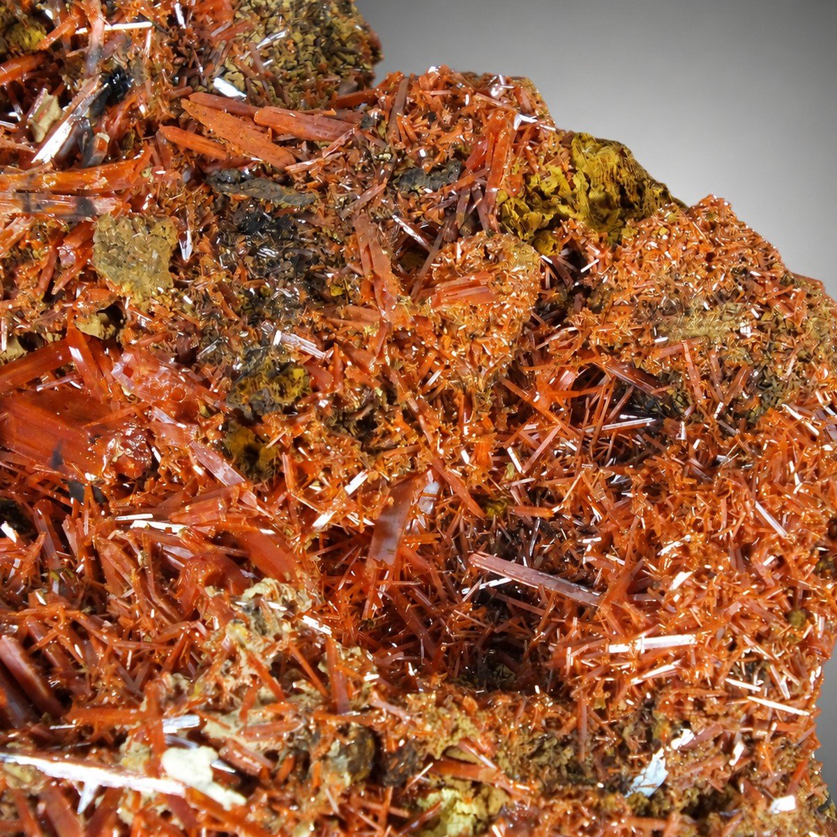 Crocoite photo 6