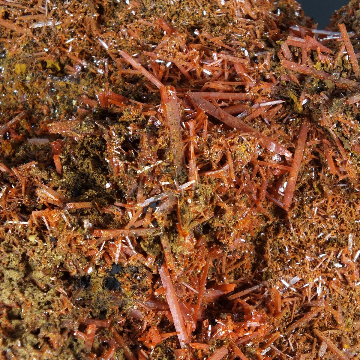 Crocoite photo 7