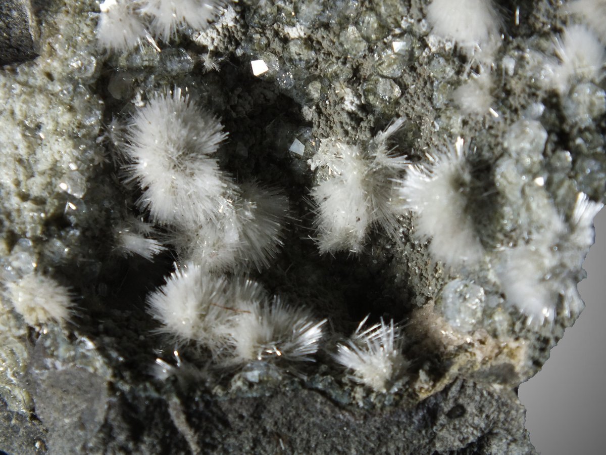 Natrolite with Analcime photo 10