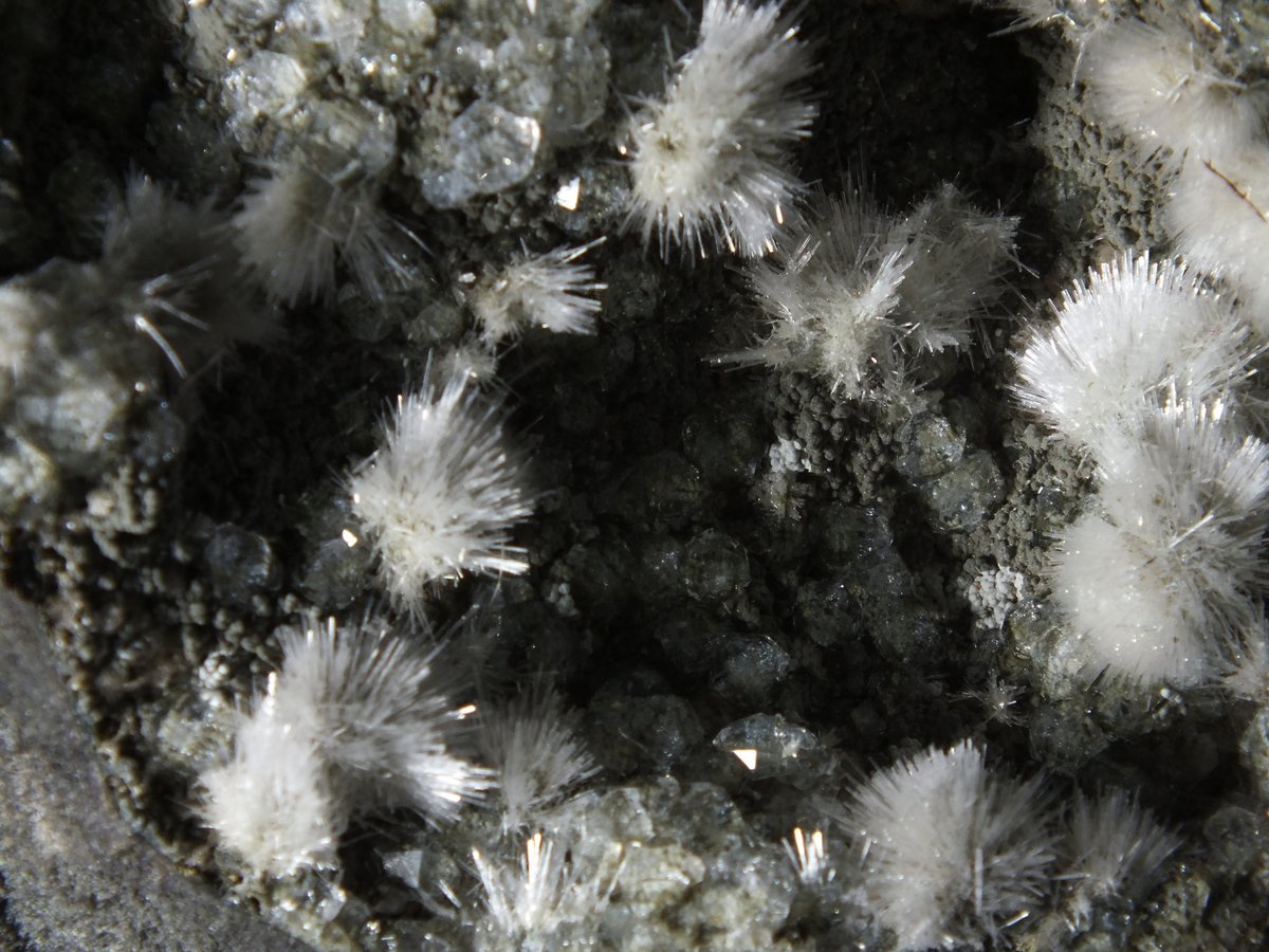 Natrolite with Analcime photo 4