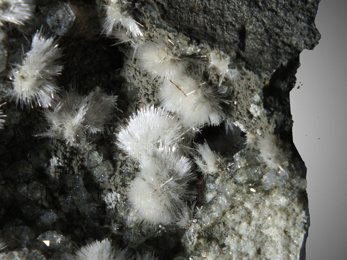 Natrolite with Analcime photo 5