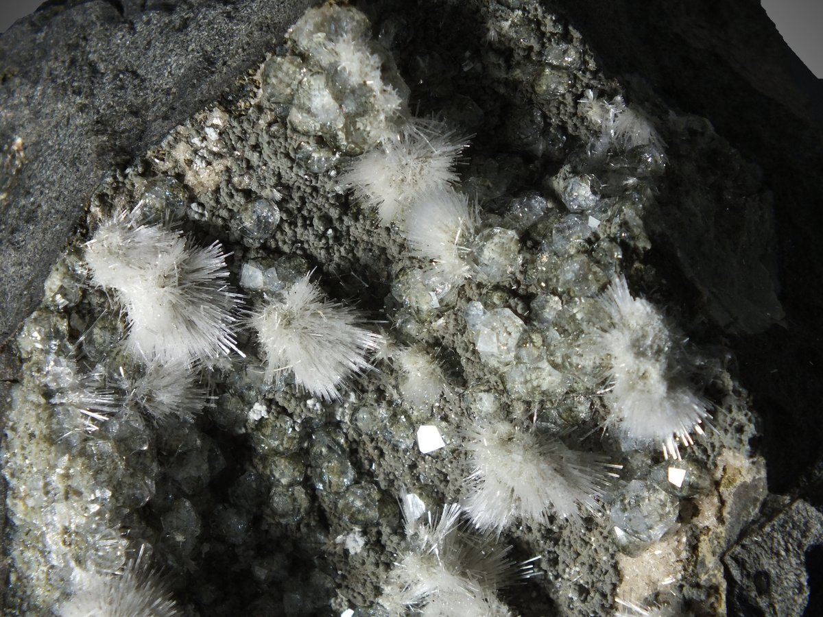 Natrolite with Analcime photo 7