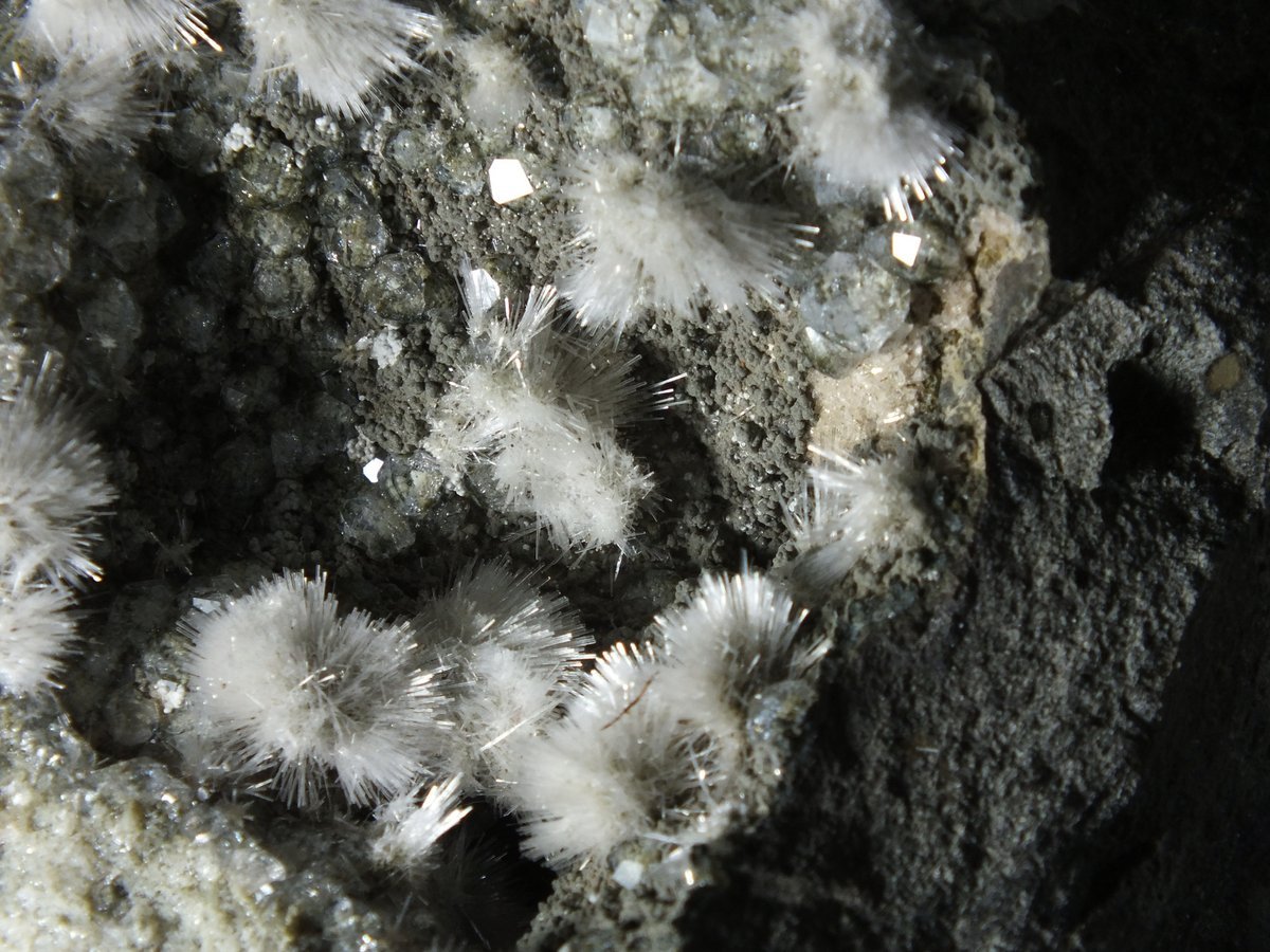 Natrolite with Analcime photo 8