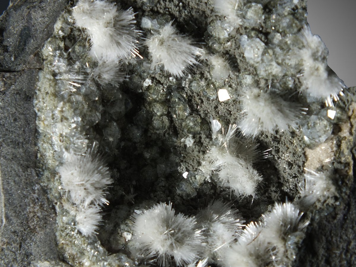 Natrolite with Analcime photo 9