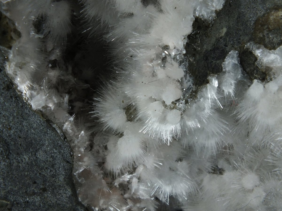 Thomsonite with Natrolite, Analcime photo 3