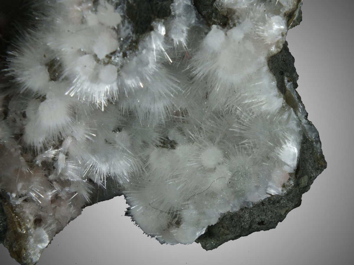 Thomsonite with Natrolite, Analcime photo 4