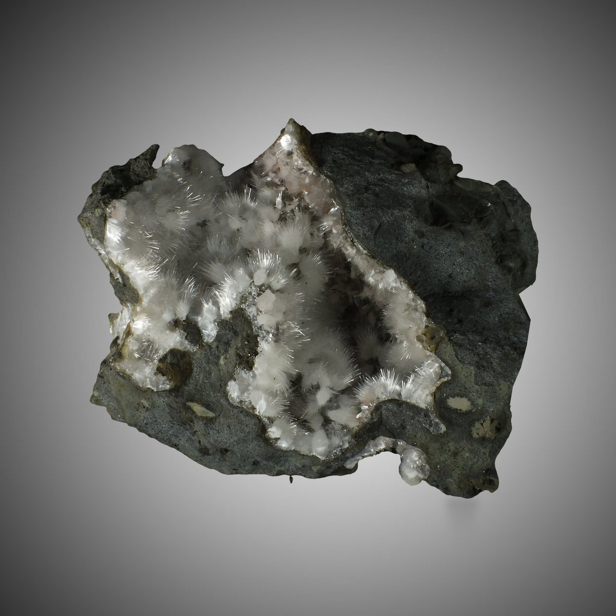Thomsonite with Natrolite, Analcime photo 6