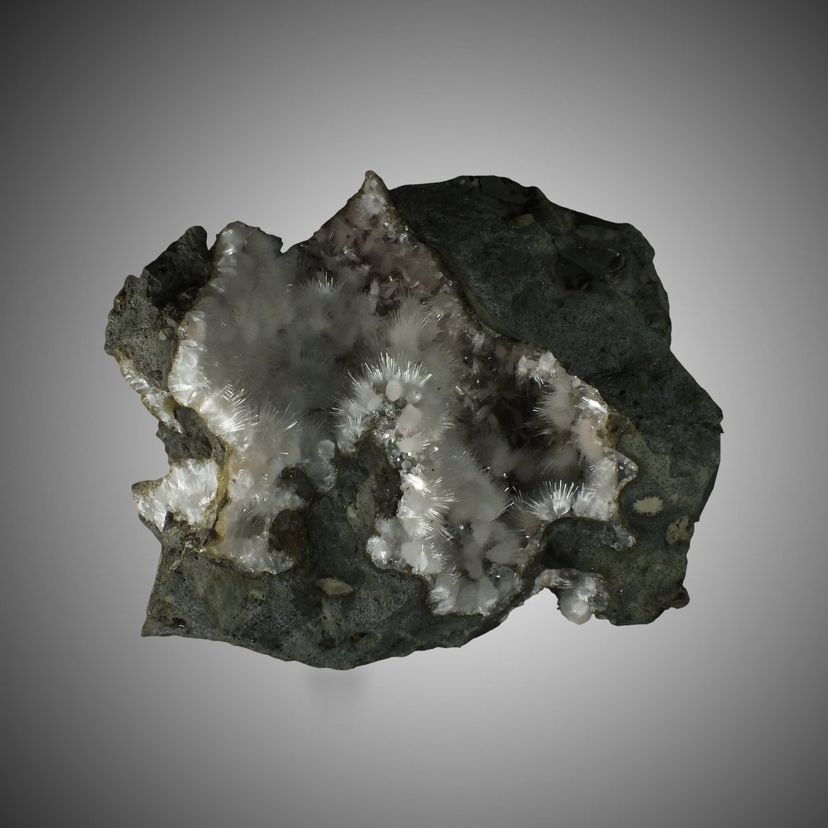 Thomsonite with Natrolite, Analcime photo 7
