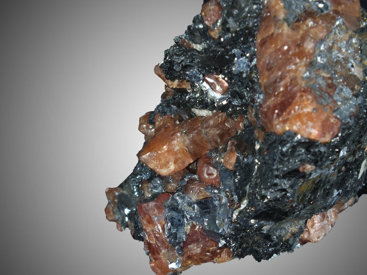 Bustamite with Galena