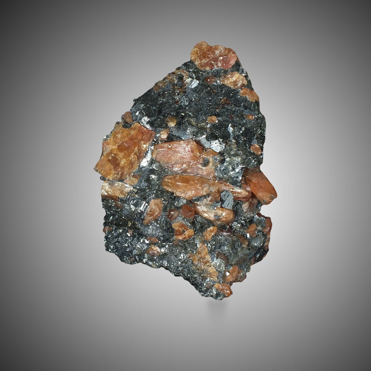 Bustamite with Galena photo 8