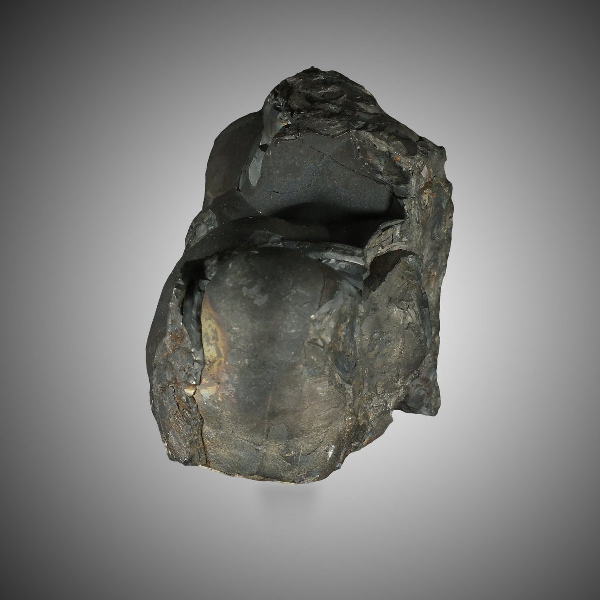 Coronadite photo 4