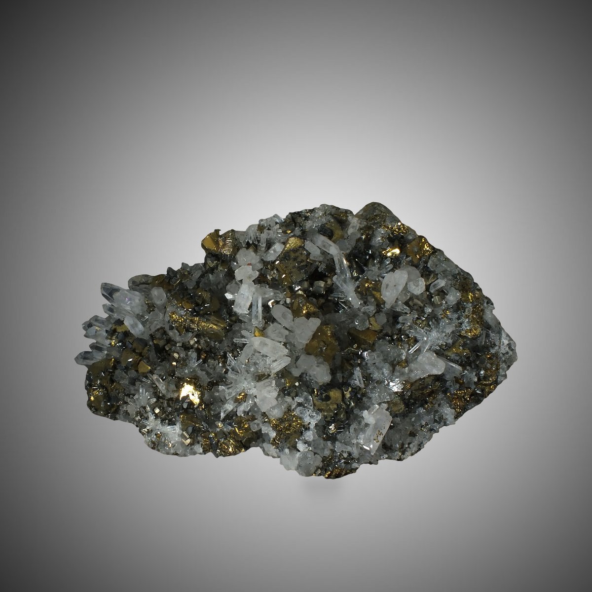 Chalcopyrite with Quartz & Pyrite photo 2