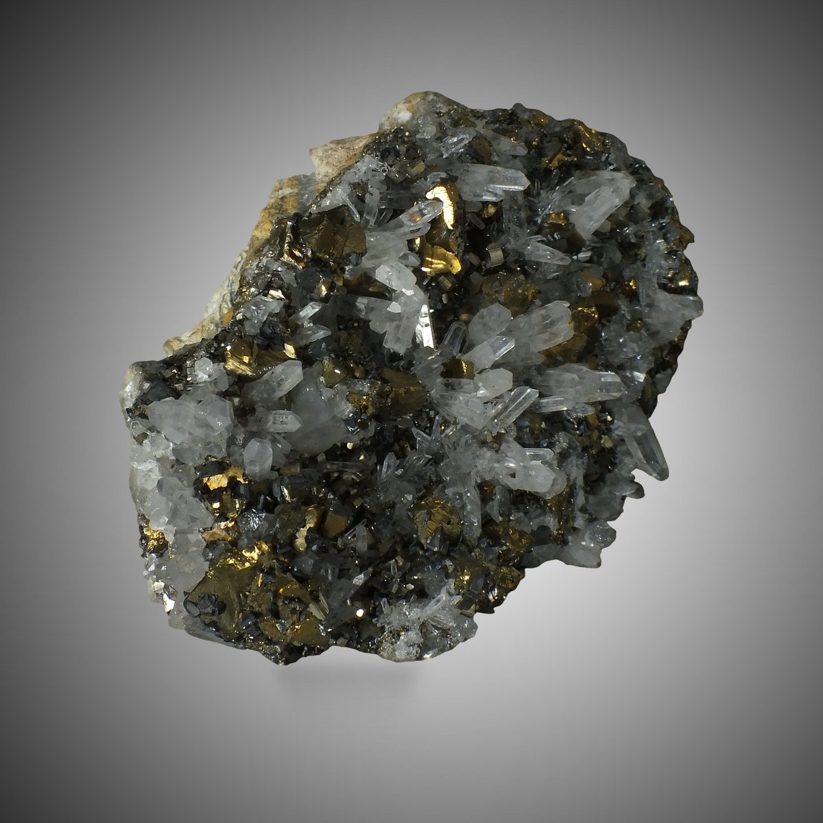 Chalcopyrite with Quartz & Pyrite photo 4