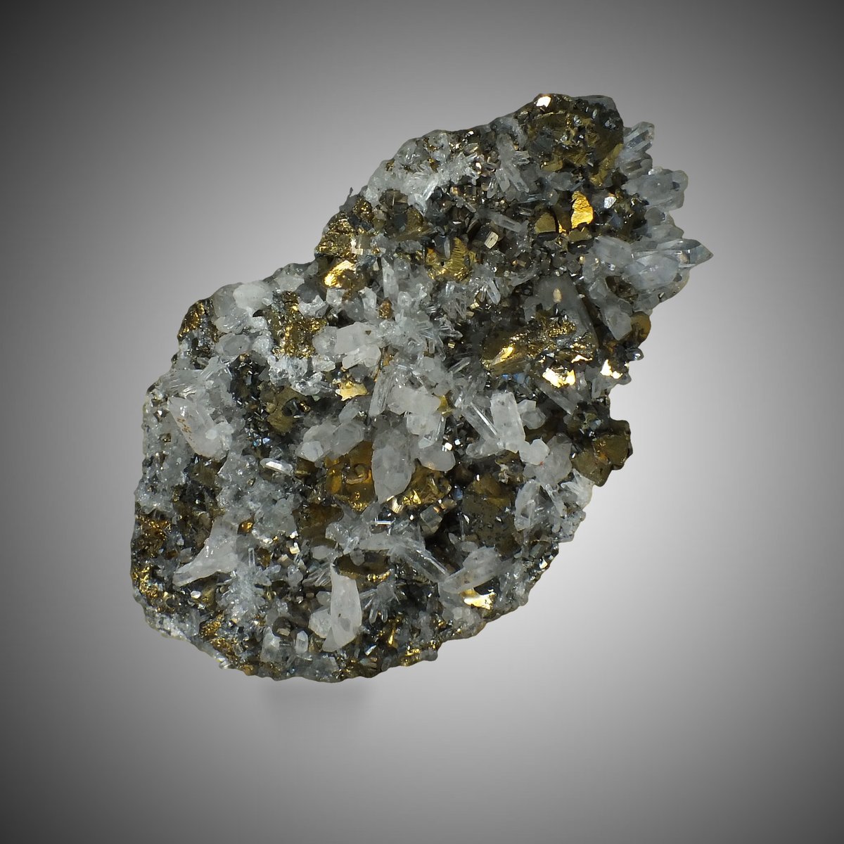 Chalcopyrite with Quartz & Pyrite photo 8