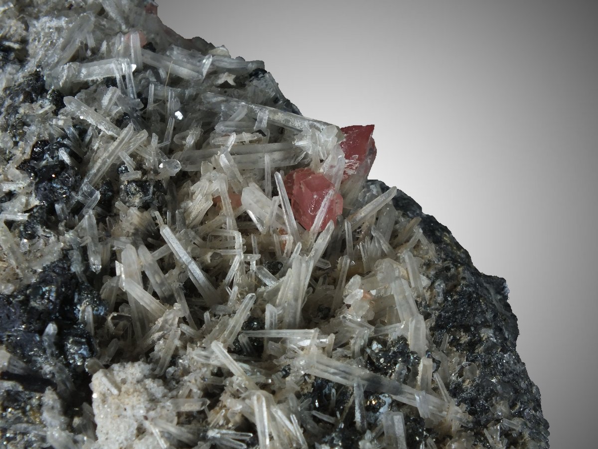 Rhodochrosite with Quartz & Hübnerite photo 10