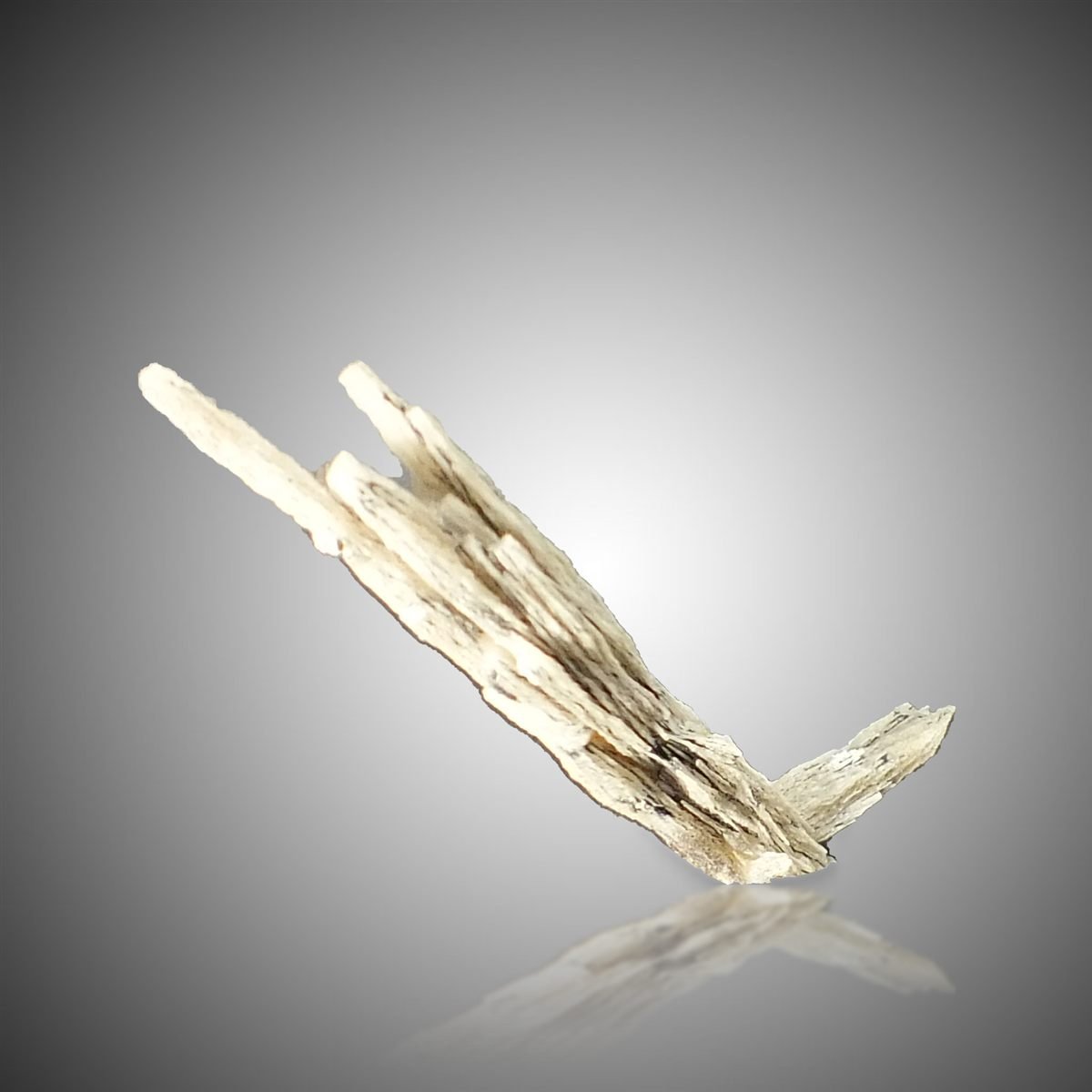 Cerussite photo 3