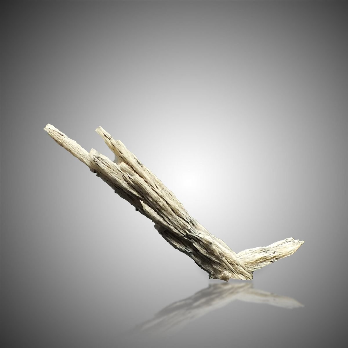 Cerussite photo 5