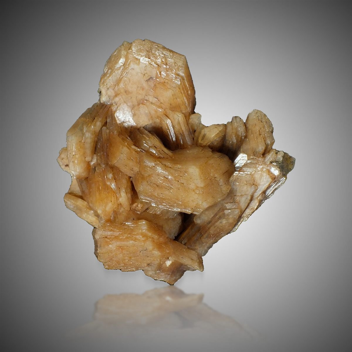 Stellerite