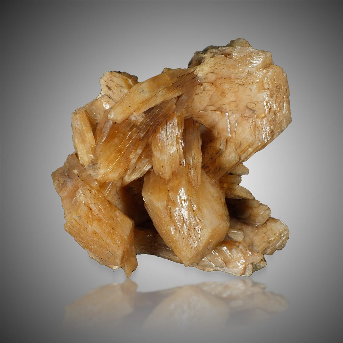 Stellerite photo 2