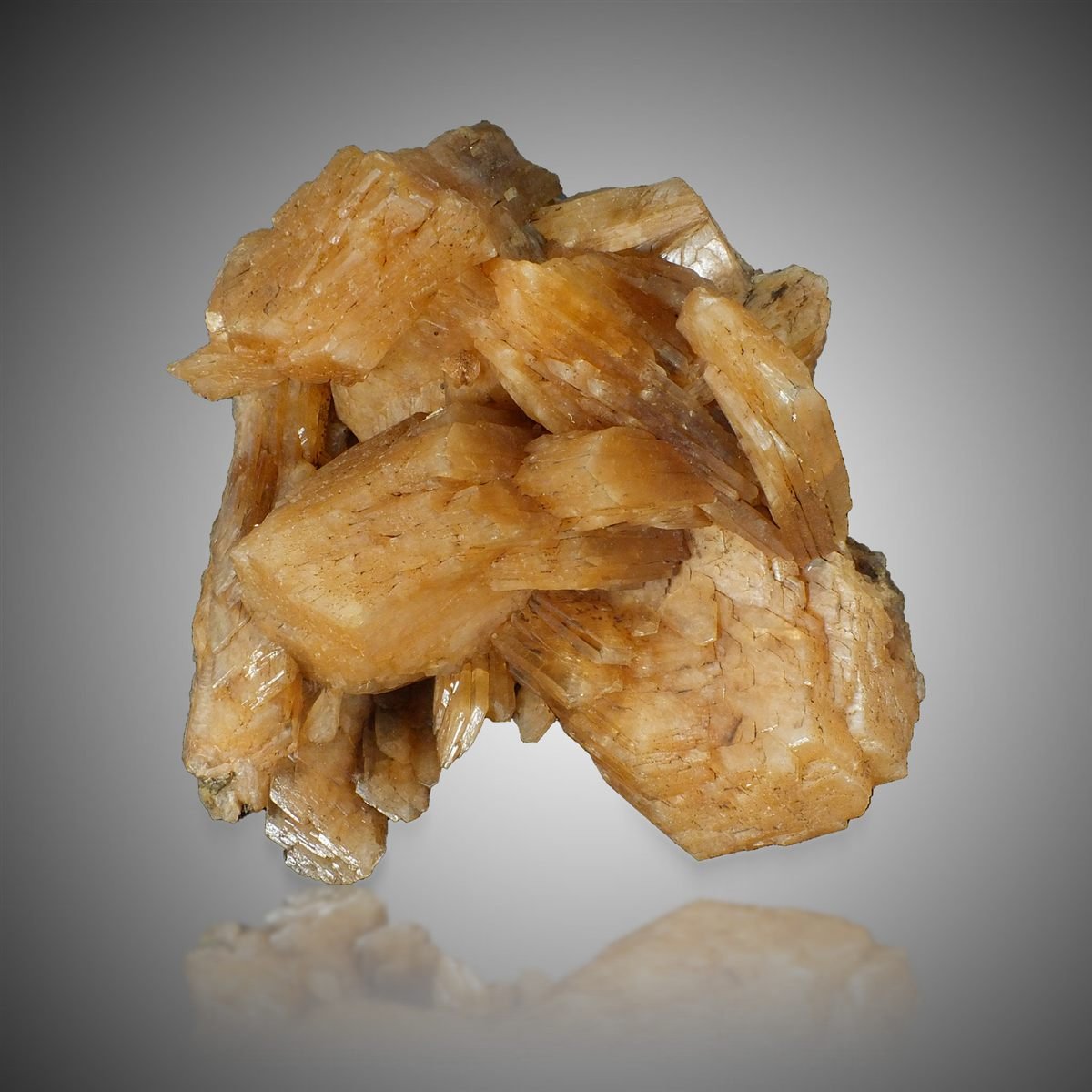 Stellerite photo 3