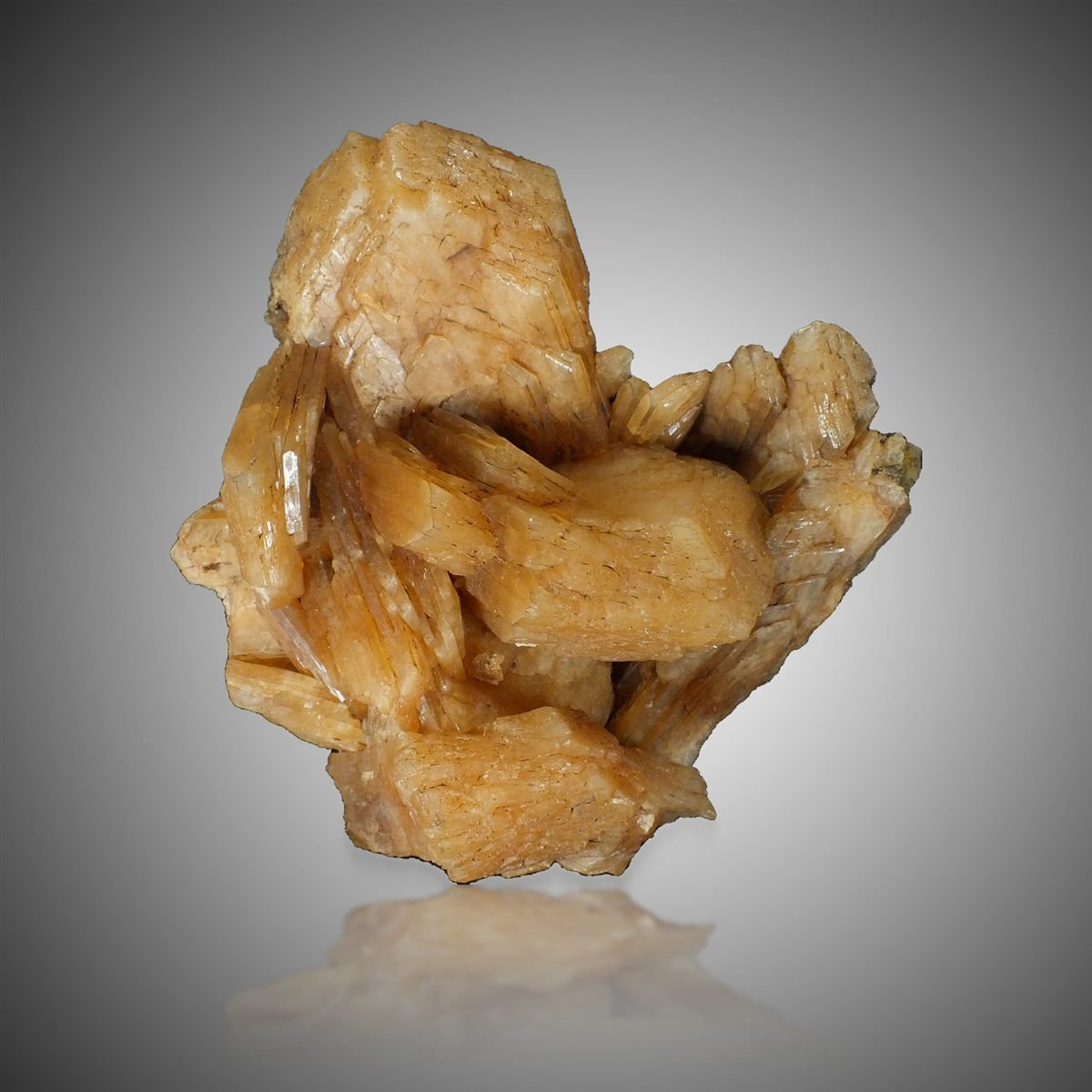 Stellerite photo 5